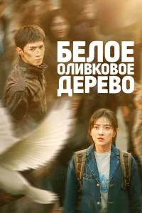 Белое оливковое дерево бесплатно