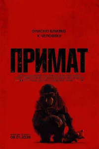 Примат бесплатно