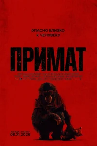 Примат бесплатно